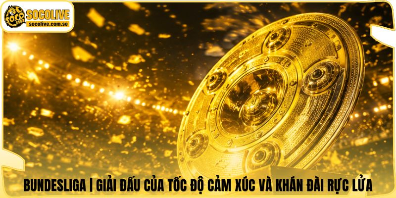 Bundesliga | Giải Đấu Của Tốc Độ Cảm Xúc Và Khán Đài Rực Lửa 4 Bundesliga | Giải Đấu Của Tốc Độ Cảm Xúc Và Khán Đài Rực Lửa