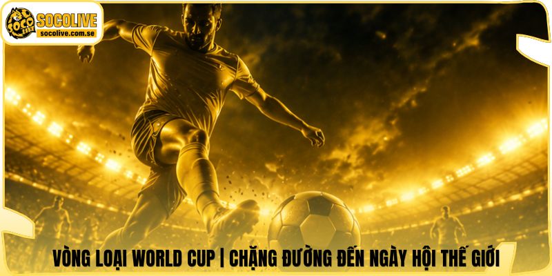 Vòng Loại World Cup | Chặng Đường Đến Ngày Hội Thế Giới 4 Vòng Loại World Cup | Chặng Đường Đến Ngày Hội Thế Giới